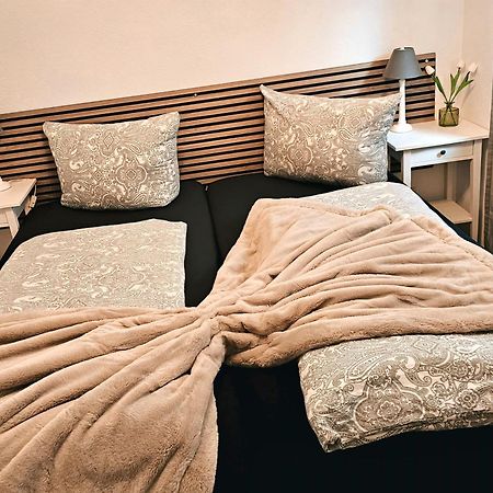 Ferienwohnung ジンスハイム エクステリア 写真