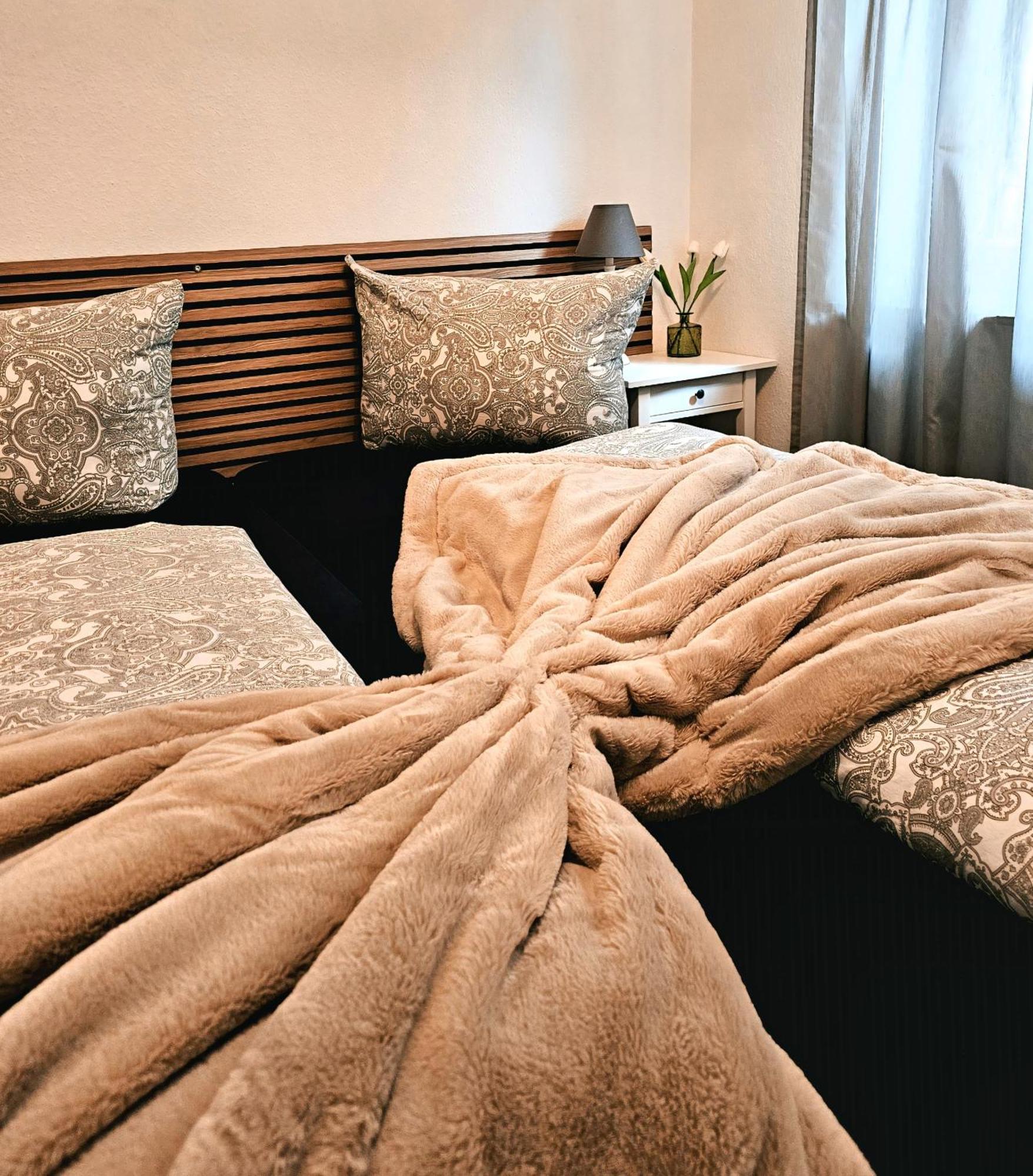 Ferienwohnung ジンスハイム エクステリア 写真