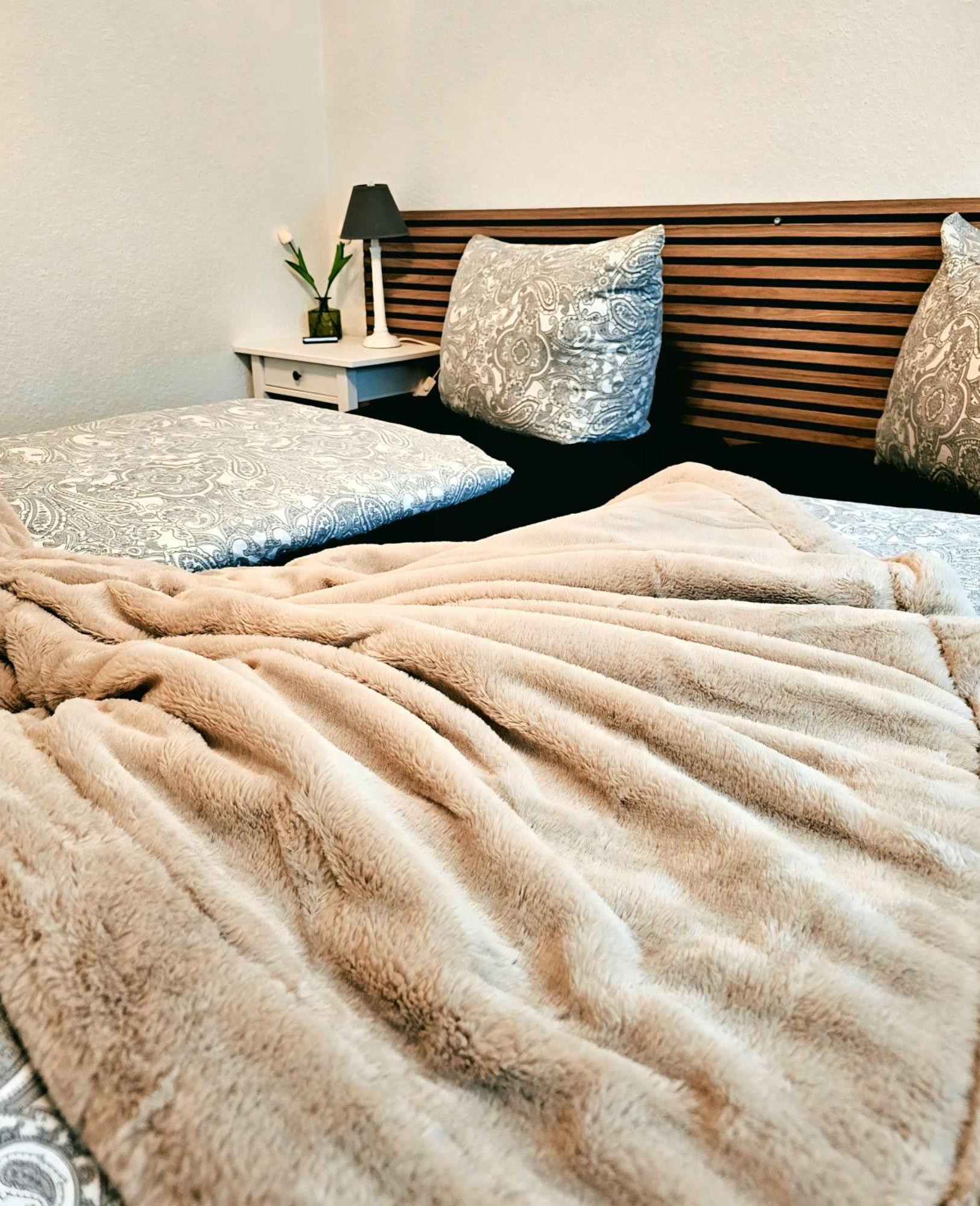Ferienwohnung ジンスハイム エクステリア 写真
